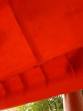 Snapshot of virgin_cunt chatting on November 2025 12:08:02 PM virgin cunt online show from November 2025 12:08:02 PM