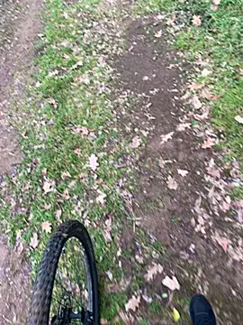 marconordic online show from February 2026 02:21:02 PM