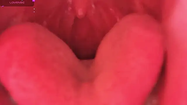 LT-333 online show from February 2026 08:34:01 PM