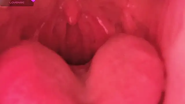 LT-333 online show from February 2026 08:45:02 PM