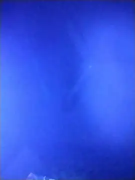 Snapshot of qaarlyfogosa chatting on February 2026 10:31:01 AM qaarlyfogosa online show from February 2026 10:31:01 AM