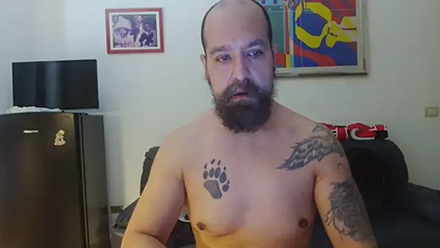 AMIRDIB2025 online show from June 2026 11:47:02 AM