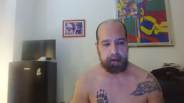 AMIRDIB2025 online show from July 2026 04:33:01 PM