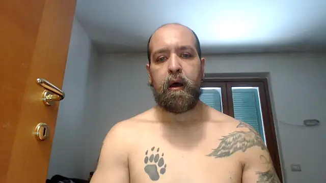 AMIRDIB2025 online show from July 2026 03:25:02 PM