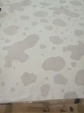 HKOOOH80 online show from March 2026 12:25:02 AM