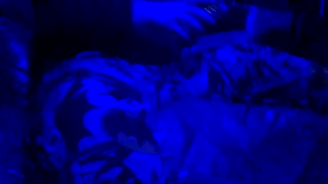 joshbrown699 online show from November 2025 05:11:01 AM