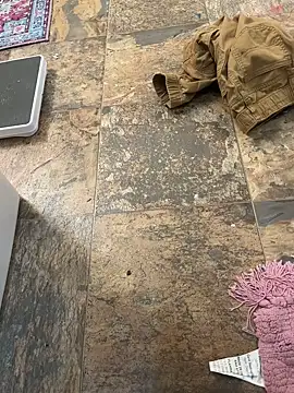 drods66999 online show from March 2026 01:00:02 AM