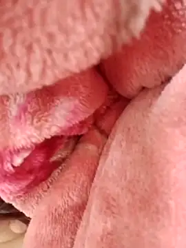 Snapshot of eujaamii chatting on December 2025 02:56:02 PM eujaamii online show from December 2025 02:56:02 PM