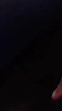 youngboypiss online show from December 2025 05:53:01 PM