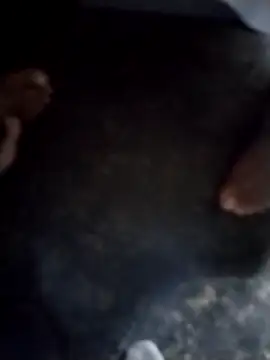 Piazza21 online show from February 2026 11:05:02 AM