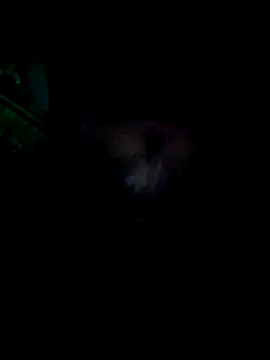 Snapshot of KF_hway chatting on March 2026 11:11:02 PM KF hway online show from March 2026 11:11:02 PM