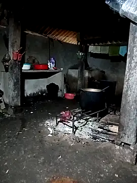 Snapshot of ava-dellght chatting on March 2026 12:49:02 AM ava-dellght online show from March 2026 12:49:02 AM