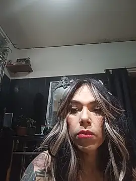 TransVenezuela1 online show from June 2026 04:13:01 PM