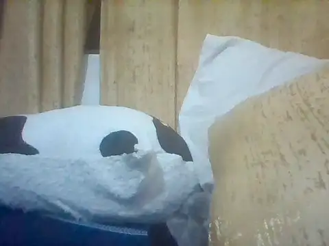 Snapshot of Thand03 chatting on March 2026 09:04:02 PM Thand03 online show from March 2026 09:04:02 PM