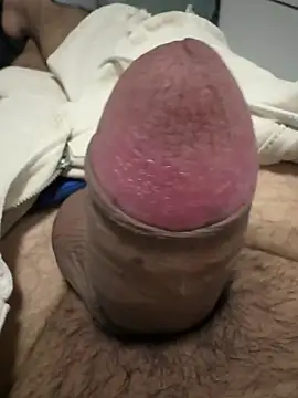 Snapshot of picachux chatting on April 2026 08:17:01 PM picachux online show from April 2026 08:17:01 PM