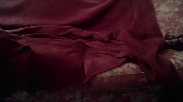 Snapshot of MeatDaddy38 chatting on March 2026 08:41:02 PM MeatDaddy38 online show from March 2026 08:41:02 PM