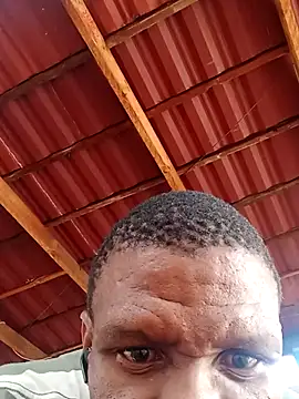 Snapshot of msindo chatting on April 2026 06:30:01 AM msindo online show from April 2026 06:30:01 AM