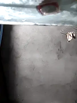 Snapshot of gigo-ulala chatting on December 2025 01:38:01 PM gigo-ulala online show from December 2025 01:38:01 PM