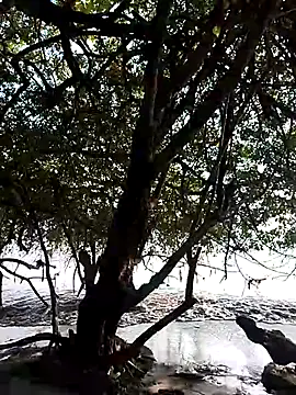 Andreskelly online show from February 2026 09:22:01 PM