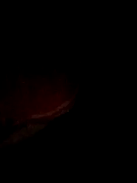 Snapshot of pritiqueen1001 chatting on December 2025 08:58:01 PM pritiqueen1001 online show from December 2025 08:58:01 PM