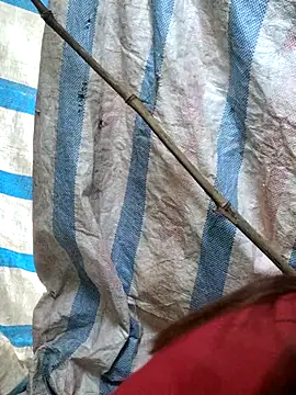 mit0-77 online show from February 2026 12:51:01 AM