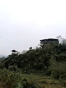 neko-nancy online show from January 2026 07:55:01 AM