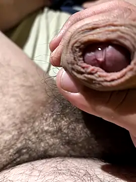 Tulechitarika online show from February 2026 03:18:01 AM