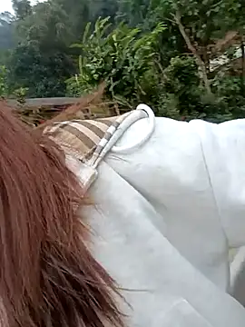 Snapshot of Chinchink2 chatting on December 2025 04:17:01 AM Chinchink2 online show from December 2025 04:17:01 AM