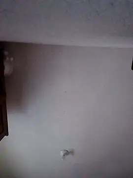 moni 1  online show from January 2026 06:49:02 AM