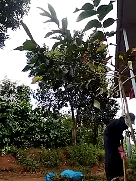 Snapshot of Metting88 chatting on December 2025 01:21:02 AM Metting88 online show from December 2025 01:21:02 AM