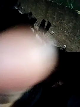 Mahi bigg online show from December 2025 03:42:01 PM