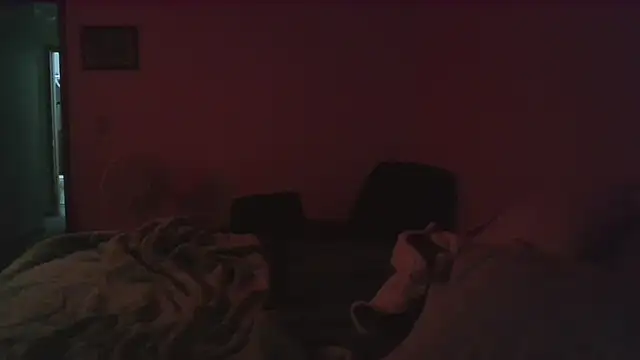 dixielover1229 online show from December 2025 04:06:01 AM