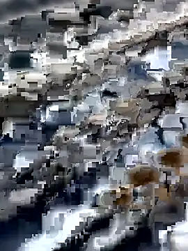 Snapshot of Amaira_69 chatting on April 2026 12:21:02 PM Amaira 69 online show from April 2026 12:21:02 PM