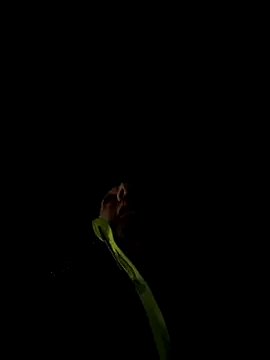 Snapshot of marcoboss chatting on December 2025 10:26:01 PM marcoboss online show from December 2025 10:26:01 PM