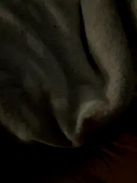 Snapshot of kb20sss chatting on December 2025 12:27:01 AM kb20sss online show from December 2025 12:27:01 AM