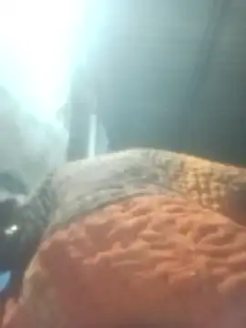 Snapshot of Pinki_rajak chatting on January 2026 07:08:02 PM Pinki rajak online show from January 2026 07:08:02 PM