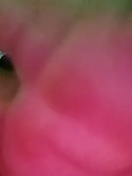 Snapshot of swartilodhi123 chatting on February 2026 04:00:01 PM swartilodhi123 online show from February 2026 04:00:01 PM