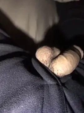 lion kun online show from December 2025 09:13:02 AM