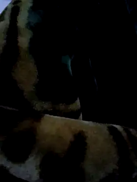 aman4404 online show from January 2026 10:30:02 AM