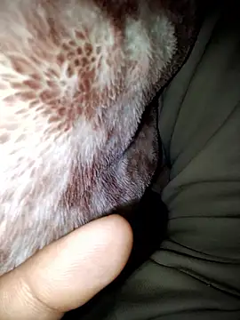 aman4404 online show from January 2026 06:08:01 AM