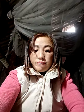 seacyre online show from January 2026 12:38:02 AM