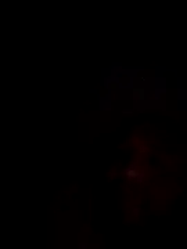 mikeeddy1517 online show from December 2025 06:30:02 AM