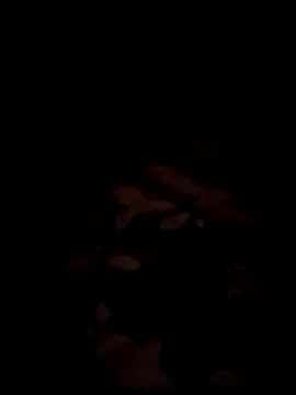 bnglrboy0886 online show from December 2025 07:31:02 PM