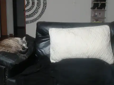 Snapshot of BeautyYoungblond chatting on March 2026 02:39:01 AM BeautyYoungblond online show from March 2026 02:39:01 AM