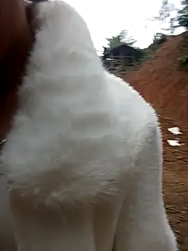 Snapshot of Girl_cutee chatting on February 2026 09:19:02 AM Girl cutee online show from February 2026 09:19:02 AM