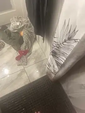 Snapshot of Miguel_667 chatting on February 2026 11:25:02 AM Miguel 667 online show from February 2026 11:25:02 AM