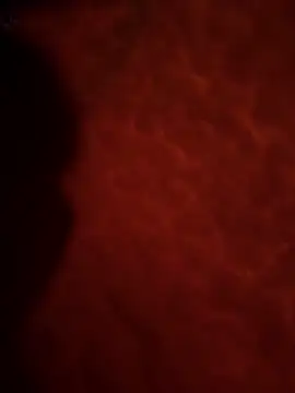 Sweetley online show from February 2026 03:22:01 PM