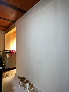 Snapshot of Noxveeltt chatting on April 2026 06:16:01 PM Noxveeltt online show from April 2026 06:16:01 PM