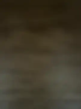 Snapshot of HarllyAlev chatting on December 2025 02:45:02 PM HarllyAlev online show from December 2025 02:45:02 PM