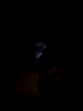 Snapshot of yourwellman chatting on March 2026 05:20:01 PM yourwellman online show from March 2026 05:20:01 PM